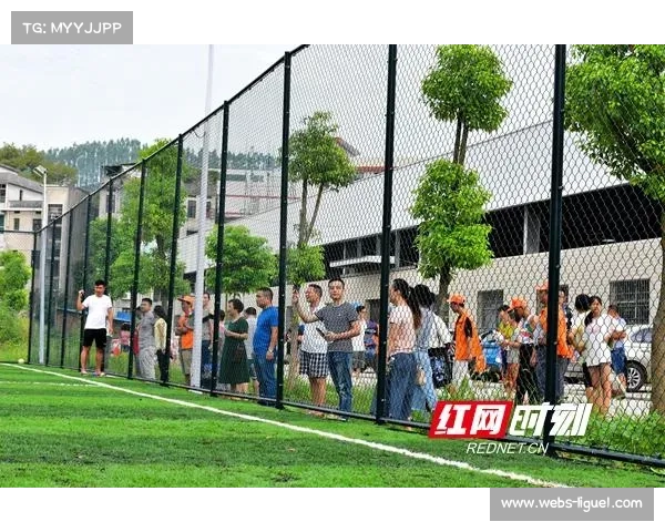 足球运动社区影响：球场扩建如何平衡比赛日体验